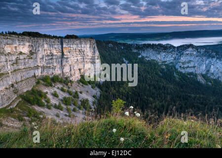 Creux du van, der Schweiz, Europa, Kanton Neuenburg, Jura, Neuenburg, Felsen, Cirque, Tagesanbruch Stockfoto