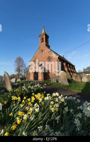 Dorf von Coddington, England. Frühling Blick auf Narzissen vor der St. Mary's Kirche im Dorf Coddington. Stockfoto