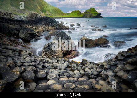 Giants Causeway. Irland Stockfoto