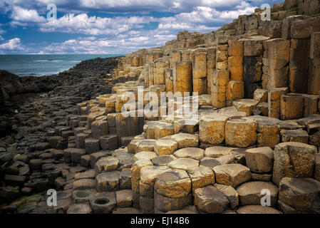 Giants Causeway. Irland Stockfoto