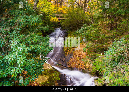 Wasserfall und Brücke unterwegs Hostals, gesehen aus dem rauen Ridge Parkplatz entlang der Blue Ridge Parkway, North Carolina. Stockfoto