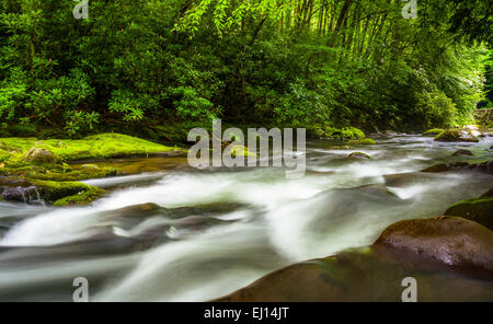 Kaskaden im Fluss Oconaluftee, an großen Smoky Mountains National Park, North Carolina. Stockfoto