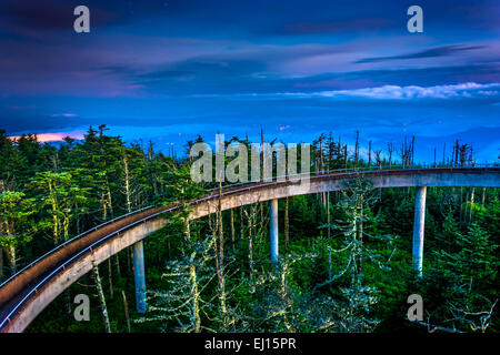 Die Rampe zum Aussichtsturm auf Clingmans Kuppel in der Nacht, an der Great-Smoky-Mountains-Nationalpark, Tennessee. Stockfoto