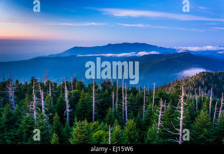 Ansicht von Nebel in den Smokies von Clingmans Kuppel Aussichtsturm in Great Smoky Mountains National Park, Tennessee. Stockfoto