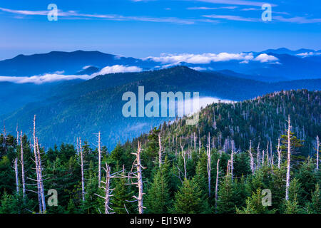 Ansicht von Nebel in den Smokies von Clingmans Kuppel Aussichtsturm in Great Smoky Mountains National Park, Tennessee. Stockfoto