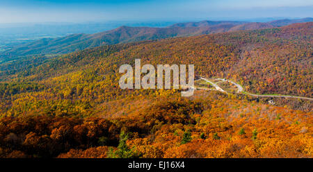 Herbst-Blick auf den Blue Ridge Mountains von Marias Rock, auf dem Appalachian Trail im Shenandoah-Nationalpark, Virginia. Stockfoto