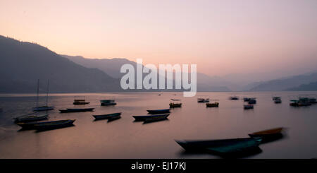 Boote am Phewa-See in Pokhara, Nepal. Stockfoto