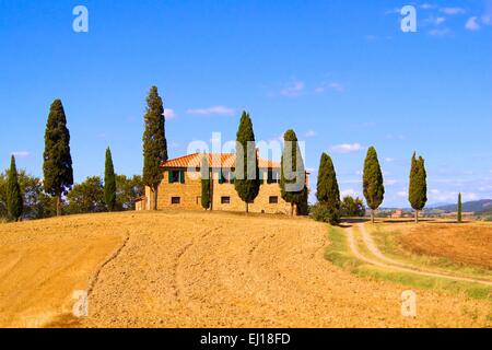 Klassische toskanische Landschaft mit Steinhaus und Zeile von Zypressen, Italien Stockfoto