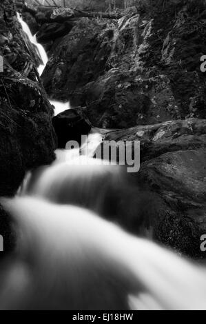 Schwarz / weiß Bild des Lower Dark Hollow Falls im Shenandoah-Nationalpark, Virginia. Stockfoto