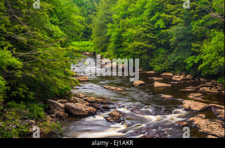 Kaskaden in Blackwater River von einer Brücke an Blackwater Falls State Park, West Virginia. Stockfoto