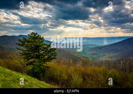 Dämmerungsaktiv Strahlen über das Shenandoah-Tal, von Skyline Drive im Shenandoah-Nationalpark, Virginia gesehen. Stockfoto