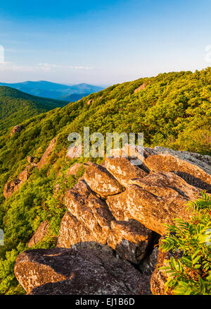 Abendlicht auf einem Felsvorsprung und den Blue Ridge Mountains von der Zinne auf dem Appalachian Trail im Shenandoah Nation Stockfoto