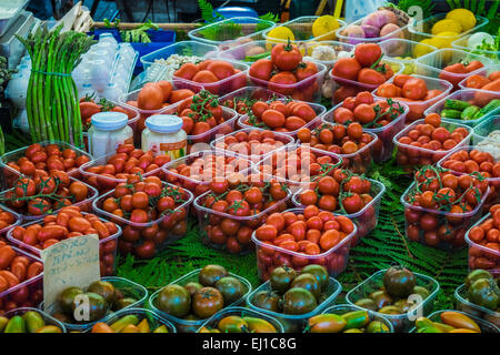 Cherry-Tomaten zum Verkauf auf dem Marktplatz von Campo de Fiori in Rom Italien Stockfoto