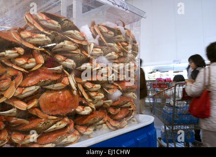 Frisch zubereitete Dungeness Krabben auf Anzeige zum Verkauf in loser Schüttung Costco Superstore kaufen Kalifornien USA Stockfoto