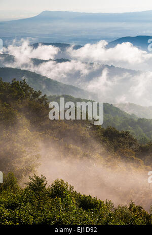 Nebel und niedrige Wolken klar heiterem Ridge nach einem Sommergewitter im Shenandoah-Nationalpark, Virginia. Stockfoto