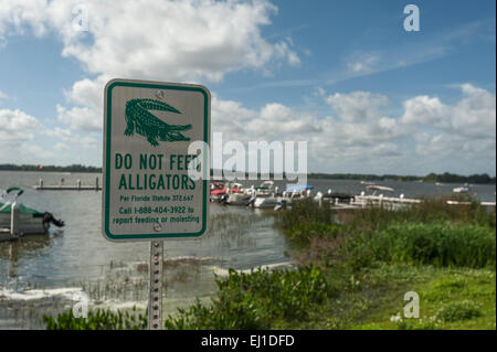 Eine Do nicht füttern die Alligatoren-Schild am Rand des Wassers auf See Dora Tavares, Florida USA Stockfoto