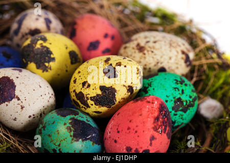 Bunte Ostereier im Nest auf weiß Stockfoto