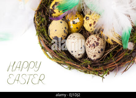 Ostereier im Nest auf einem weißen Hintergrund Stockfoto