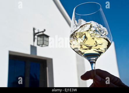 WEINPROBE IM FREIEN, wirbeln und bewerten Sie ein Glas Weißwein im Freien, blauer Himmel, Urlaub, Weingut, Urlaub, sonnige Weinprobe Situation Stockfoto