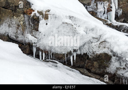 Eiszapfen bilden vom Meer spray auf schneebedeckten Felsen im Acadia National Park, Bar Harbor, Maine. Stockfoto