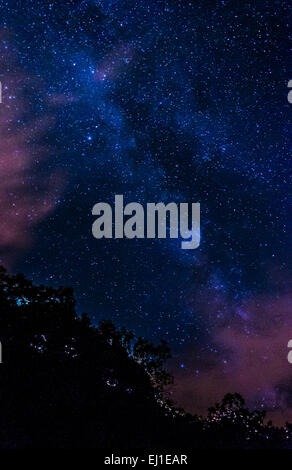 Langzeitbelichtung Bild der Milchstraße in der Nacht vom Skyline Drive im Shenandoah-Nationalpark, Virginia. Stockfoto