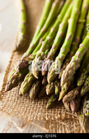 Organische Rohstoffe Grünspargel Ready to Cook Stockfoto