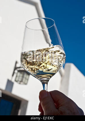 WEISSWEIN-VERKOSTUNG SONNIGE Alfresco wirbeln belüften und Bewertung eines Glases Weißwein im Freien unter freiem Himmel sonnige Weinprobe Situation Stockfoto