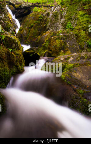 Lower Dark Hollow Falls, im Shenandoah-Nationalpark, Virginia. Stockfoto