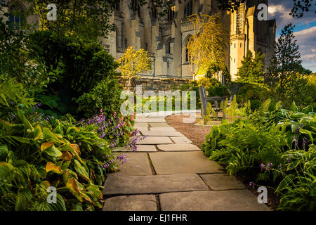 Pflanzen und Gehweg in der Bischof der Garten und die Washington National Cathedral in Washington, DC. Stockfoto