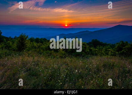 Sonnenuntergang über einer Wiese am Pass Mountain Overlook, Skyline Drive, Shenandoah-Nationalpark, Virginia. Stockfoto