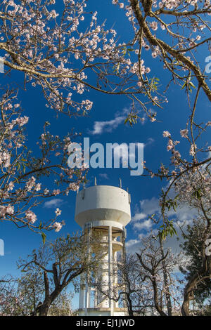 Schließen Sie die Ansicht eines Zweiges der Mandelbaum Blüte Blumen in der Natur und ein Wasserturm. Stockfoto