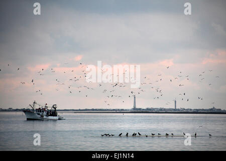 Blick auf ein kleines Fischerboot, gefolgt von vielen Vögel auf Olhao, Portugal. Stockfoto