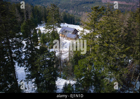 Blick auf der Skihütte aus den Baumwipfelpfad Baumkrone Weg Bad Wildbad nördlichen Schwarzwald Baden-Württemberg Deutschland Stockfoto