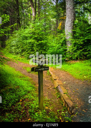 Trail-Marker auf dem Limberlos Trail im Shenandoah-Nationalpark, Virginia. Stockfoto