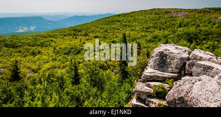 Östlich der Appalachen von Felsen tragen, in der hohen Allegheny Mountains Dollys Grassoden Wilderness, Monongahela nationale F anzeigen Stockfoto