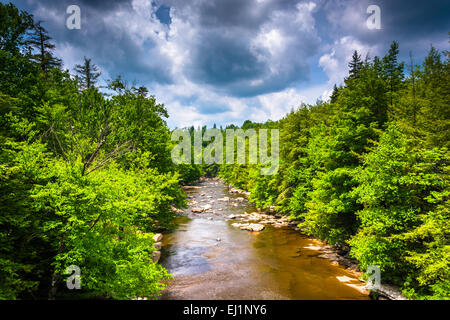 Ansicht des Flusses Blackwater von einer Brücke an Blackwater Falls State Park, West Virginia. Stockfoto