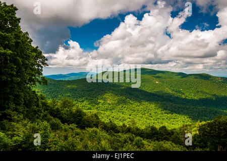 Blick auf die Blue Ridge und schöne Sommerwolken, gesehen vom Skyline Drive im Shenandoah-Nationalpark, Virginia. Stockfoto