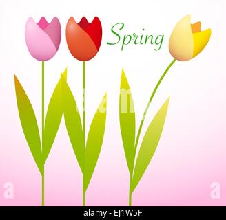 Drei bunte Tulpen auf Frühling Hintergrund Stock Vektor
