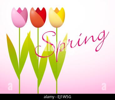 Drei bunte Tulpen auf Frühling Hintergrund Stock Vektor