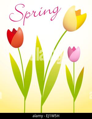 Drei bunte Tulpen auf Frühling Hintergrund Stock Vektor