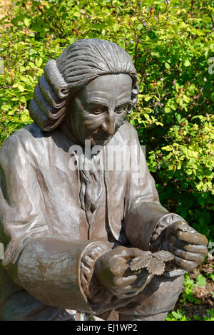 Statue von Carl Linnaeus, Naturforscher, stieg Garten Skansen, Djugarden, Stockholm, Schweden Stockfoto