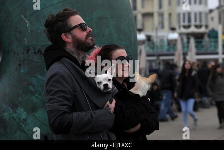 Brighton, Sussex UK 20. März 2015 - Menschen und ihre Haustiere auf Brighton beach heute Morgen die partielle Sonnenfinsternis die Sonne anzuzeigen, die in ganz Großbritannien stattfindet. Leider das Wetter war bewölkt und trüb und ein paar Einblicke an der Südküste Kredit möglich waren: Simon Dack/Alamy Live News Stockfoto