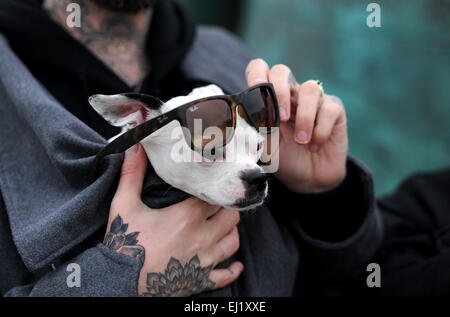 Brighton, Sussex UK 20. März 2015 - Menschen und ihre Haustiere auf Brighton beach heute Morgen die partielle Sonnenfinsternis die Sonne anzuzeigen, die in ganz Großbritannien stattfindet. Leider das Wetter war bewölkt und trüb und ein paar Einblicke an der Südküste Kredit möglich waren: Simon Dack/Alamy Live News Stockfoto