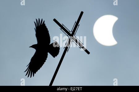 Visselhoevede, Deutschland. 20. März 2015. Ein Vogel fliegt vom Kreuz auf einem Kirchturm, während der Mond langsam über die Sonnenscheibe während der partiellen Sonnenfinsternis in Visselhoevede, Deutschland, 20. März 2015 verschoben wird. Foto: DANIEL REINHARDT/Dpa/Alamy Live News Stockfoto