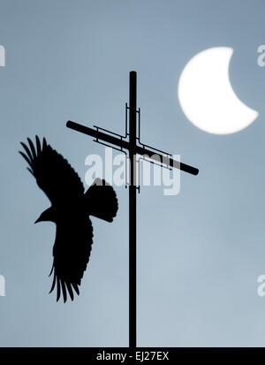 Visselhoevede, Deutschland. 20. März 2015. Ein Vogel fliegt vom Kreuz auf einem Kirchturm, während der Mond langsam über die Sonnenscheibe während der partiellen Sonnenfinsternis in Visselhoevede, Deutschland, 20. März 2015 verschoben wird. Foto: DANIEL REINHARDT/Dpa/Alamy Live News Stockfoto