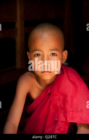 Porträt eines jungen Anfänger buddhistischen Mönchs vor einem schwarzen Hintergrund starrt aus einer Pagode Myanmar Burma Stockfoto