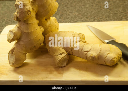 Stem-Ingwer in Sirup Stockfoto