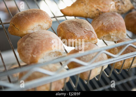 Frisch gebackene Brötchen auf rack Stockfoto