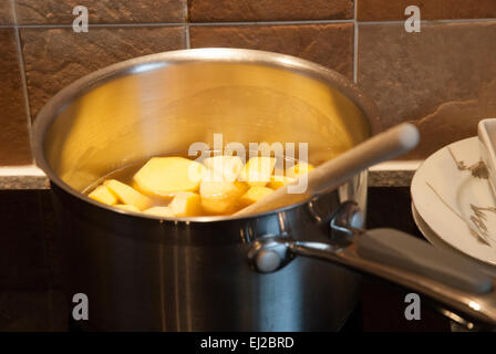 Stem-Ingwer in Sirup Stockfoto