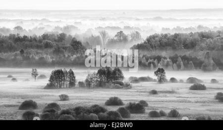 Nebligen Gebiet am Morgen - bw Version. Stockfoto